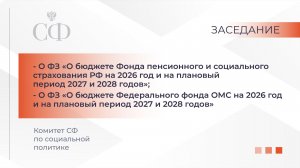 Заседание Комитета Совета Федерации по социальной политике