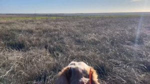 Норман. 25.11.25