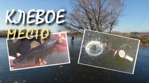 Рыбалка с женой😜 Ротан по первому льду