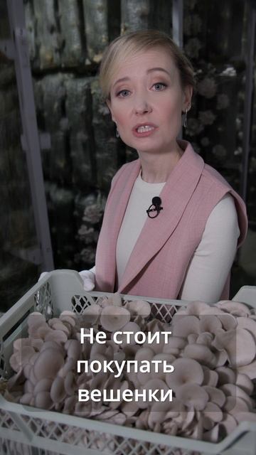 Какие вешенки вкуснее?