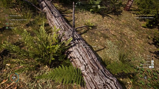 Medieval Dynasty #16 НАЧАЛ СТРОИТЬ ДЕРЕВНЮ