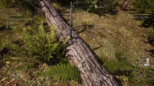 Medieval Dynasty #16 НАЧАЛ СТРОИТЬ ДЕРЕВНЮ