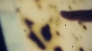 Удивительно интересные факты об инопланетянах.