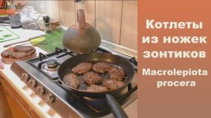 Котлеты из ножек зонтиков. Macrolepiota procera .