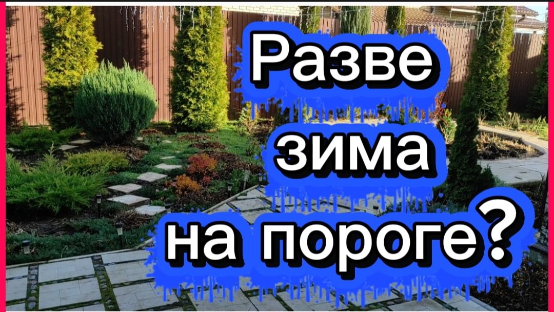 Последние дни ноября...