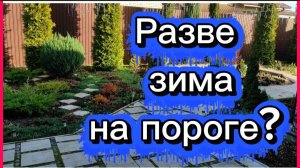 Последние дни ноября...