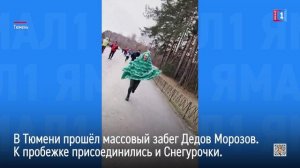 В Тюмени прошёл массовый забег Дедов Морозов