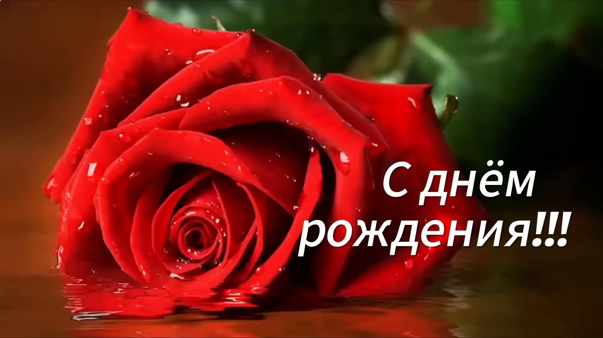 Самые тёплые поздравления с Днём Рождения — для всех и от души!