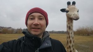 Рафик жирафик желает Хорошего дня и настроения)