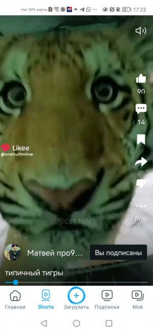 я игра в roblox