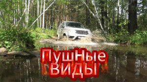 Пушные виды