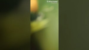 1000105268.mp4КЛЮЧИКИ💗🗝️💗🗝️💗