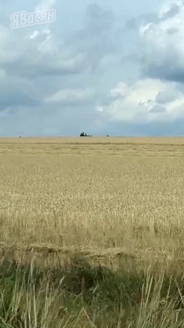 #газм20победа #пермский_край #shorts