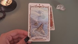 Рак ♋️Прогноз на Декабрь,родная стихия💙#2025