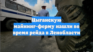 Цыганскую майнинг-ферму нашли во время рейда в Ленобласти