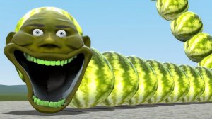 Лин Ган Стал Голодным Червем В Garry's Mod