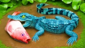 Голубая акула охотится на радужных рыбок Кои | борьба с грязью и эксперимент с цветом