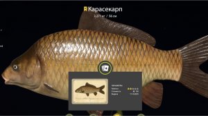 РР 4 ! Тур на медное !!! Фарм для новичков !!!