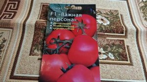 Два новых сорта томатов-Вкусносоковый и Важная Персона F1 выбрала на следующий сезон