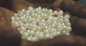 .... Как появился Жемчуг....