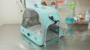 Как перевозить птицу