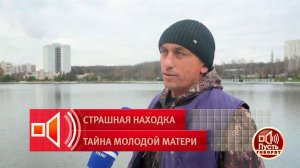 "Раскрыли пакет и поняли, что это голова". Рабочие рассказали о страшной находке. Пусть говорят. ...