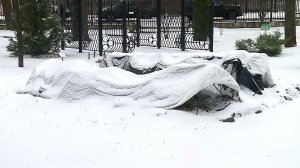 (Рыбинск-40) КАРЯКИНСКИЙ САД УШЁЛ В СПЯЧКУ