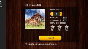 Jigsaw Puzzle Epic 222 Серия Игра 2025