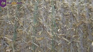 Пресс-подборщик Паскаль обзор