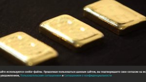 В Таиланде женщина случайно выкинула золотые слитки почти на 5 млн рублей