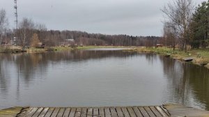 Светлые Горы 25.11.2025г.