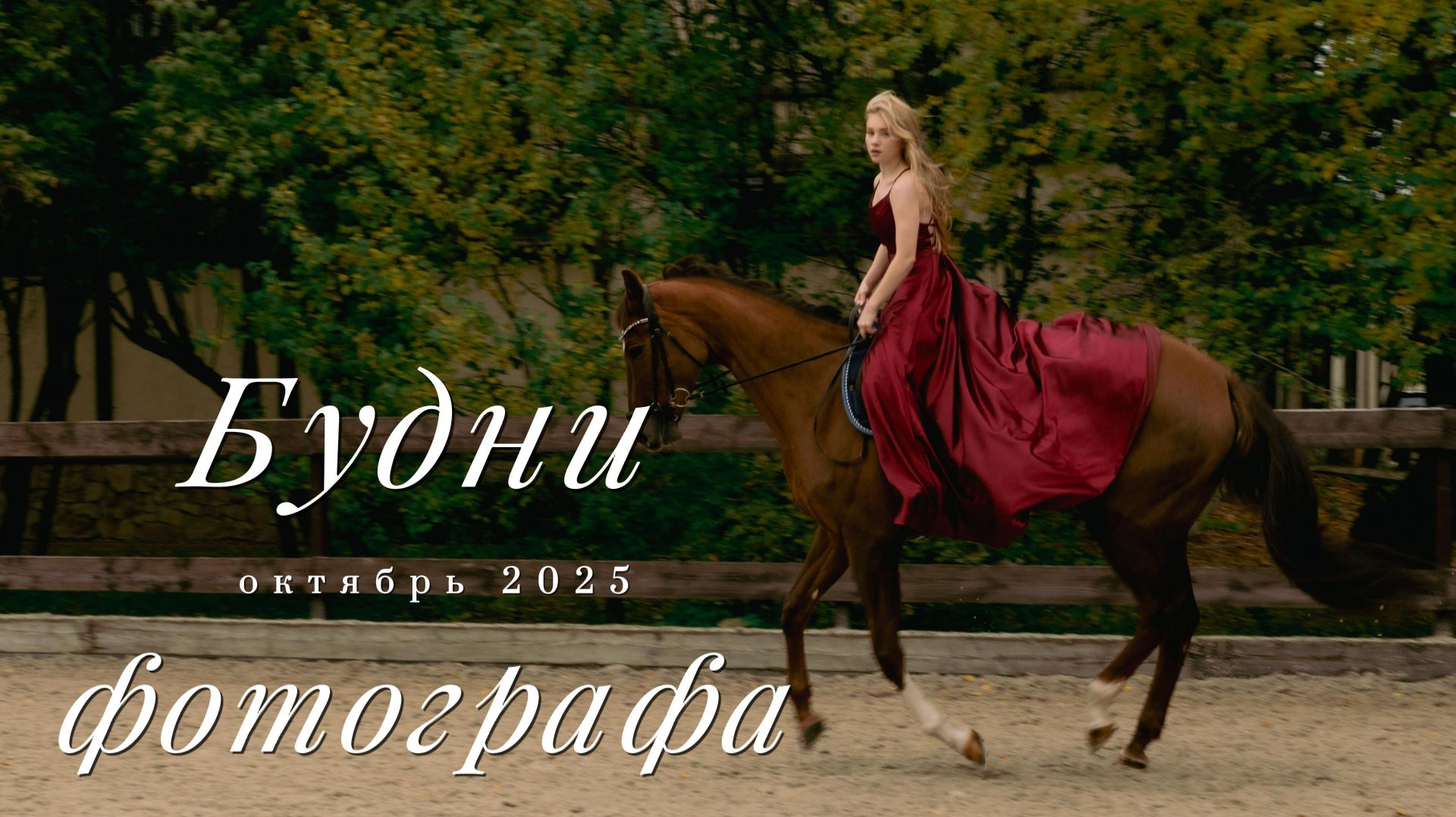 Будни Фотографа. Съемки для маркетплэйс творчество модный показ в Москве