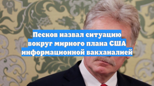 Песков назвал информационной вакханалией ситуацию с мирным планом США