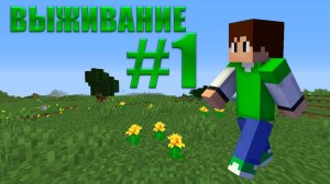 Выживание в Майнкрафт #1 -  (Не) обычный летсплей