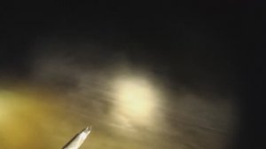 Подводная охота в теплых водах АЭС.