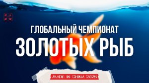 Глобальный чемпионат золотых рыбок в Китае