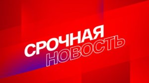 Трамп поручил Уиткоффу встретиться с Путиным в Москве