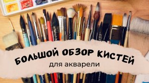 ВСЁ про КИСТИ  для акварели - на что смотреть, какую выбрать и чем они отличаются