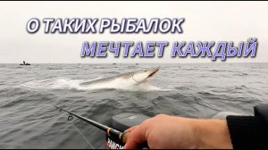 О таких рыбалок мечтает каждый)