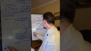 Психосоматика - тихий убийца, который убивает больше чем война и пандемии