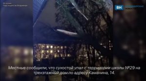Во Владимире на жилой дом рухнуло дерево
