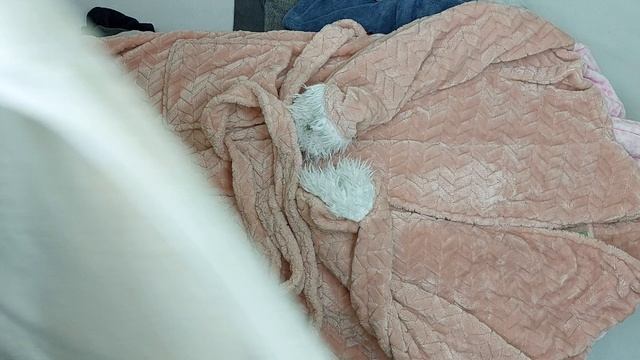 Пижамы, ночные рубашки секонд оптом 5 пак