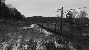 Эдуард Асадов. Стихи о рыжей дворняге. Читает Анатолий Алымов