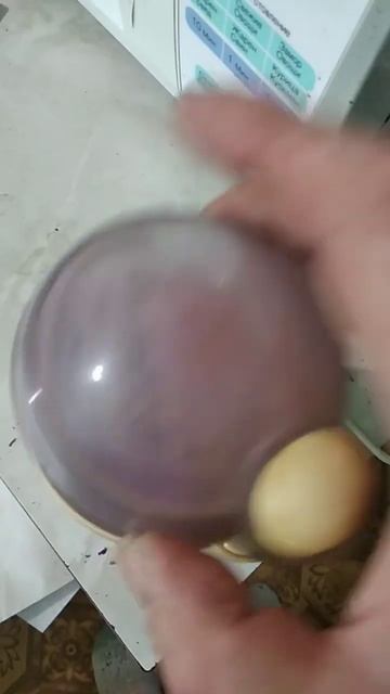 Крымская эфиромасличная роза. Сухие лепестки  #centifolia, #Rosa_centifolia,