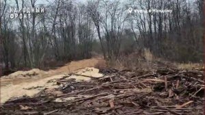 Свалки в Няндоме