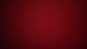 Нашему Президенту