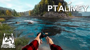 РОЗЫГРЫШ в тг🎁Большая охота на р. Белой🐟Русская рыбалка 4🐬Russian Fishing 4