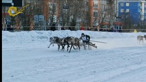Немного о погоде и Оленьи бега.