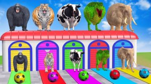 Веселые игры с слоном, гориллой, бегемотом, тигром - 3D-игра с животными - Забавные 3D-животные