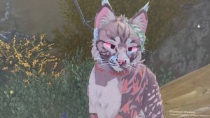 #WarriorsCatsUlimateUditeon